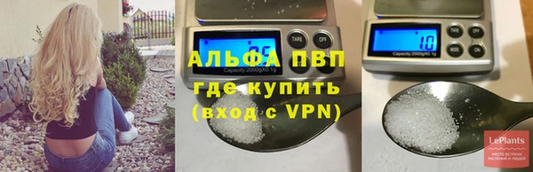 спиды Аркадак