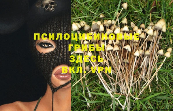 альфа пвп Армянск