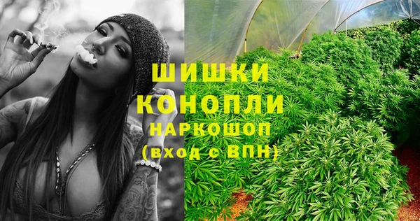 спиды Аркадак
