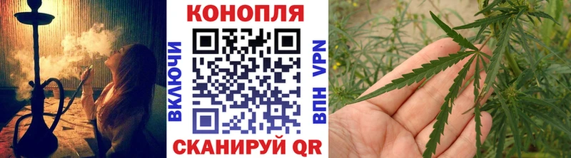 darknet телеграм  Змеиногорск  Канабис конопля 